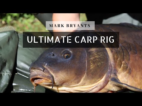 Mark Bryants Ultimate Carp Fishing Rig