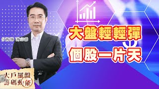大盤輕輕彈 個股一片天 (圖)
