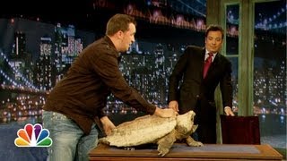 Jeff Musial: Green Iguana, Fennec Fox (Late Night with Jimmy Fallon)