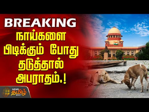 Supreme Court Dog Order | நாய்களை பிடிக்கும் போது தடுத்தால் அபராதம் | Dog Catching Fine