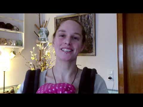 Wie wir unsere Hühner vor dem Habicht schützen, natürliche Tipps und Tricks