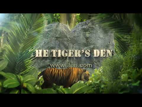 August 18th, The Trader's Edge with Steve Rhodes on TFNN - 2020