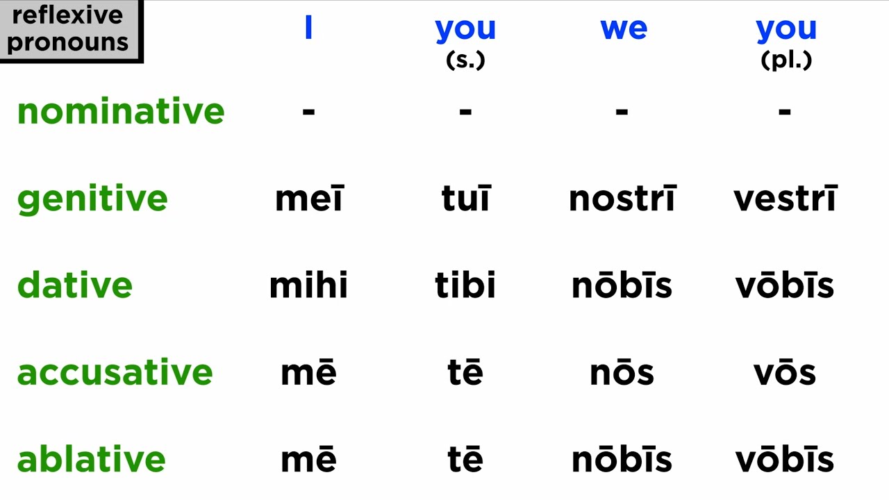 Reflexive Pronouns in Latin