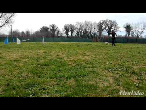 01/15 Pri strides RC class