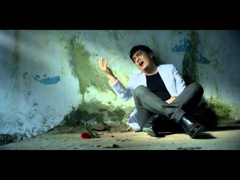 Như chưa từng gặp nhau - Lam Trường