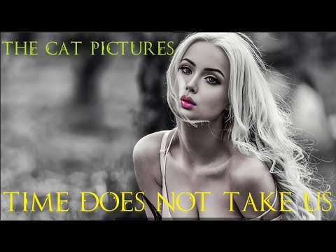 The Cat Pictures (feat. Valeria Lukyanova & Irina Pashkeeva) Time Does Not Take Us