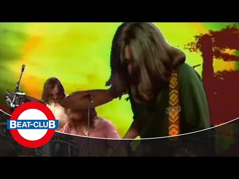 The Byrds - Eight Miles High (1971)