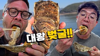 ;"굴을-좋아하는-친구첫-벚굴-반응은?-섬진강-대왕-'벚굴'-외국인-먹방!-생굴,-굴찜,-굴구이...-살면서-이렇게-큰-굴은-처음이에요."