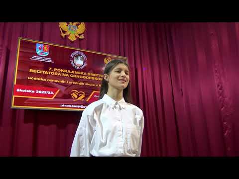 Ljudi sjenke - Aleksandar Leso Ivanović