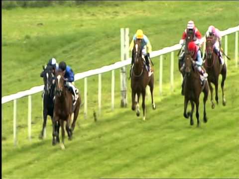 Galopprennbahn Dresden - 04.10.2015 - 4.Rennen