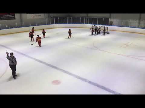 Diskos -09 Punainen - Vaajakosken Pelikaanit -09 10.1.2021