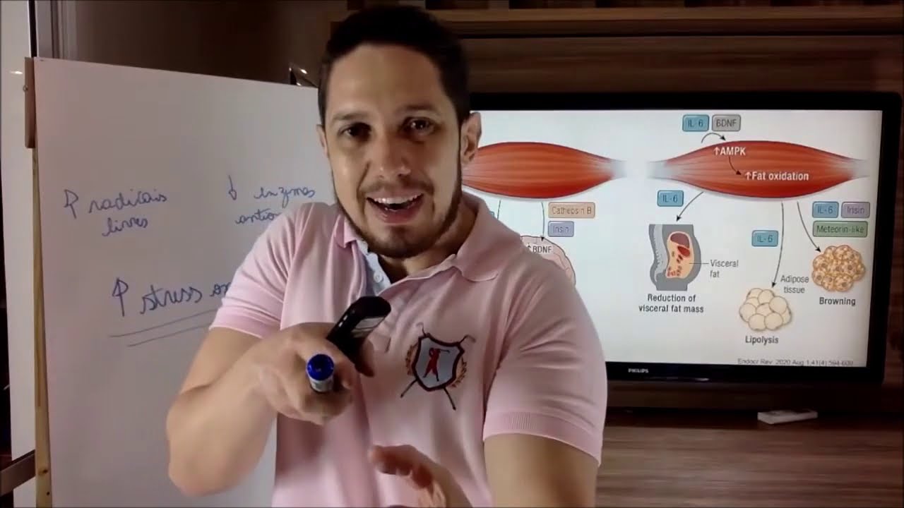 Emagrecimento - miocinas e respostas metabólicas do treinamento