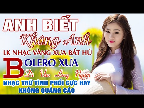 Tuyệt Phẩm Rumba Bolero Chọn Lọc - Liên Khúc Anh Biết Không Anh - Nhạc Trữ Tình KHÔNG QUẢNG CÁO
