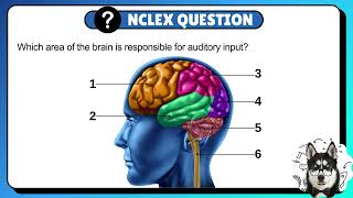73 - NCLEX Question &amp; Answer + Rationale for Nursing Students &amp; NCLEX #nursing #nclex #nursingschool