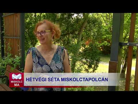 Videó előnézet