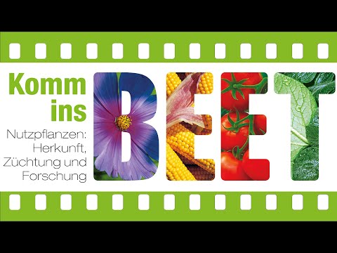KOMM INS BEET! - Opener