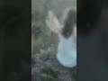 Peter Pan Fairy Dance 1 Hour