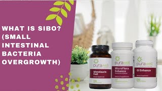 What is SIBO (Small Intestinal Bacteria Overgrowth
