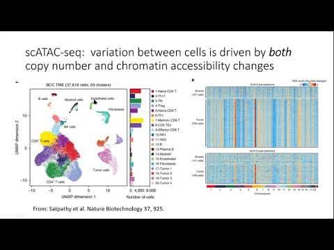 Integrative Analysis of Allele Specific Copy Number and Chromatin Accessibility in Cancer