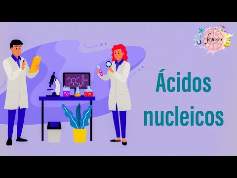Nucleic acids: General aspects and classification