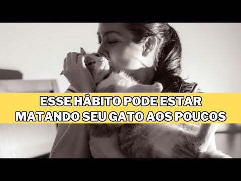 O HÁBITO Que Está ACABANDO com o EMOCIONAL dos FELINOS! – O #7 Muda Tudo!