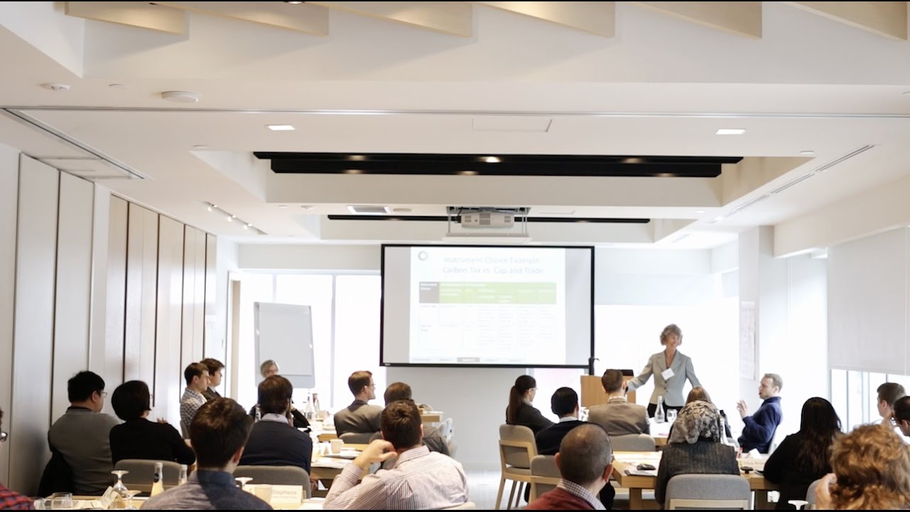 2-Day Professional Development Course: Designing Economic Instruments for the Environment