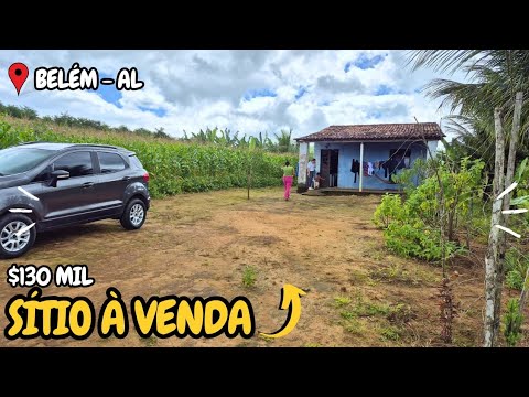 SÍTIO À VENDA EM BELÉM ALAGOAS $130MIL