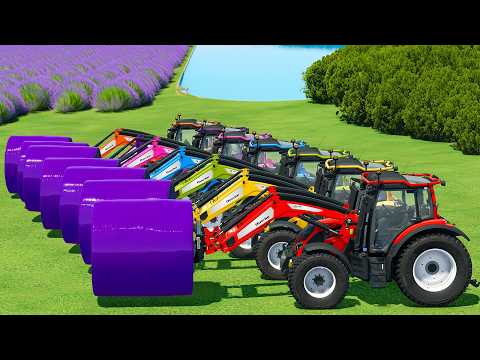HARVEST, LOAD & MAKE LAVENDER BALES WITH VALTRA TRACTORS & JOHN DEERE HARVESTERS - FS22