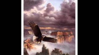 native american eagle vision