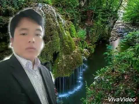 Zoo tsis sib phim (pheejtxojhmoo)