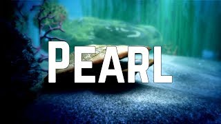 Katy Perry - Pearl (Lyrics)