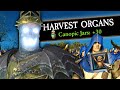 I Stole My Enemies Organs In Total Warhammer 3