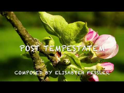 Elisabeth Fessler, Post Tempestatem, performed by Elisabeth Fessler and Cristian Ganicenco