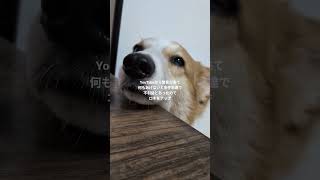 とりあえずロキをアップ