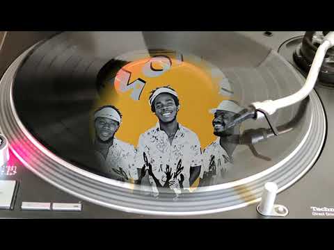 the mighty diamonds, one brother short