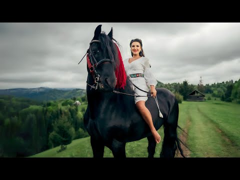 Anuta Motofelea - Hai la Colibița