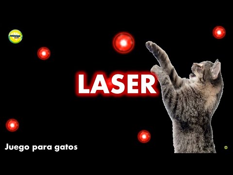 Videos para #gatos - #Laser