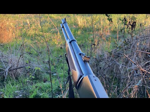 Hunting with the 30 30 deer rifle, waitin on a shooter