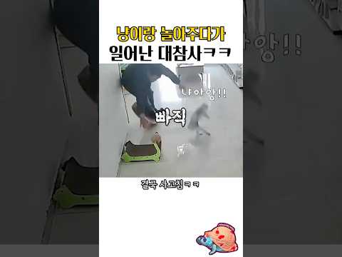 냥이랑 놀아주다가 일어난 대참사ㅋㅋ