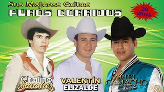 Valentín Elizalde, Chalino Sanchez, Ariel Camacho - Corridos Perrones Mix