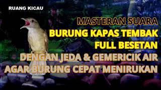 Download lagu Masteran Suara Burung FULL BESETAN Kapas Tembak Dengan Jeda Dan Gemericik Air Untuk Murai Batu mp3