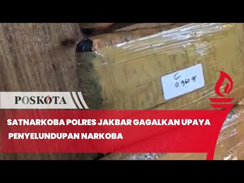Satnarkoba Polres Jakbar Gagalkan Upaya Penyelundupan Narkoba, 40 Orang Diduga Kurir Dicokok