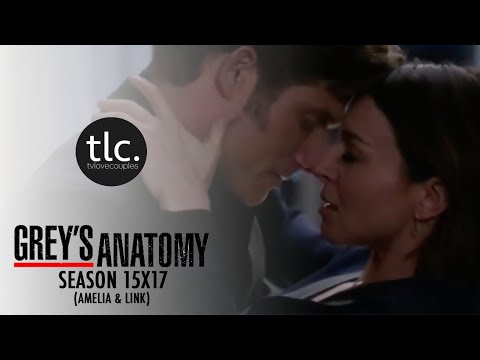 Greys Anatomy Amelia & Link (AmeLink) Season 15-17