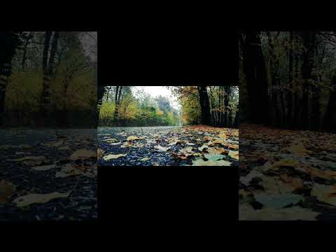 Ngang trái - Công nghệ AI