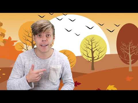 Herfstbladeren tellen tot 10 - Bewegend leren met meester Sander