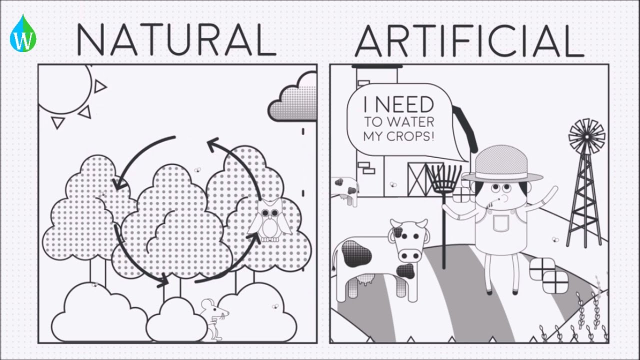 Natural vs Artificial ecosystems - WELS (Waterpedia Environmental Learning Series)