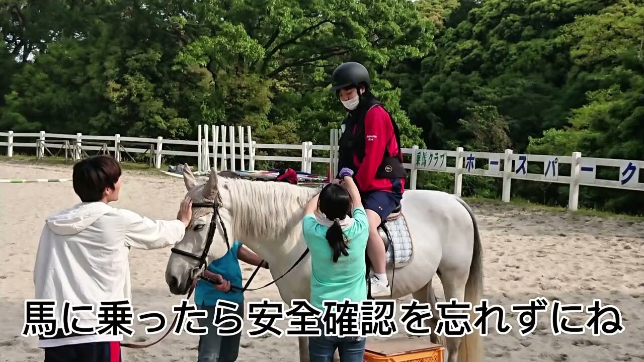 [No.161]みんなの夢中をみてみよう