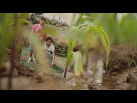 Caminos - Documental