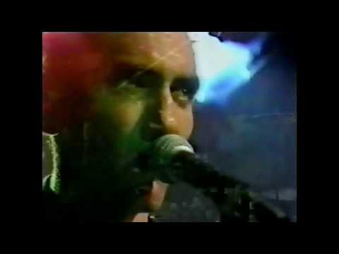 Paul Kelly and the Coloured Girls live - 1986