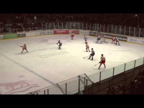 13.02.2015: Rødovre Mighty Bulls - Frederikshavn White Hawks